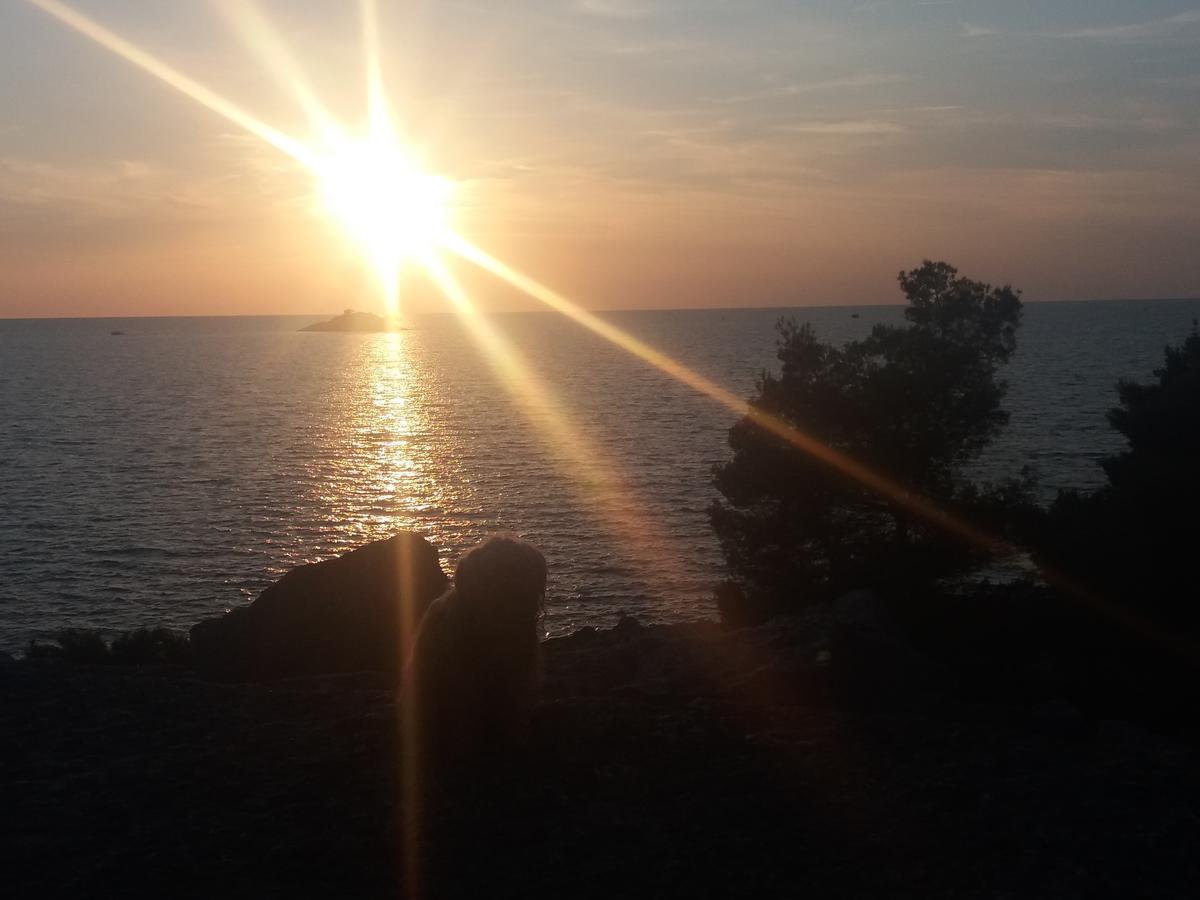 Apartments Ella Rovinj Bagian luar foto